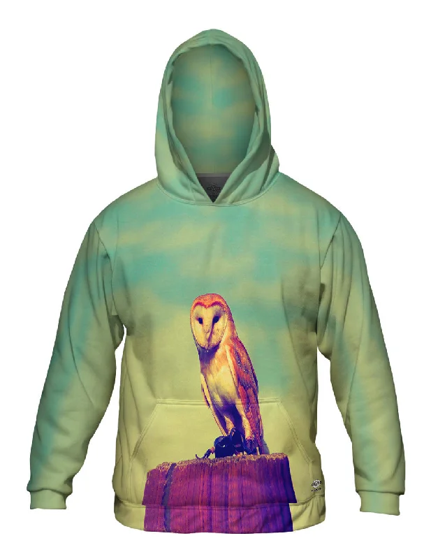 Take Action Watching Owl