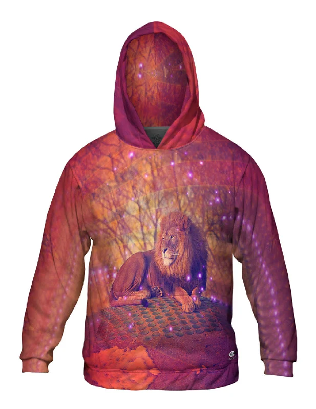 The Best Prices Sunset Lion