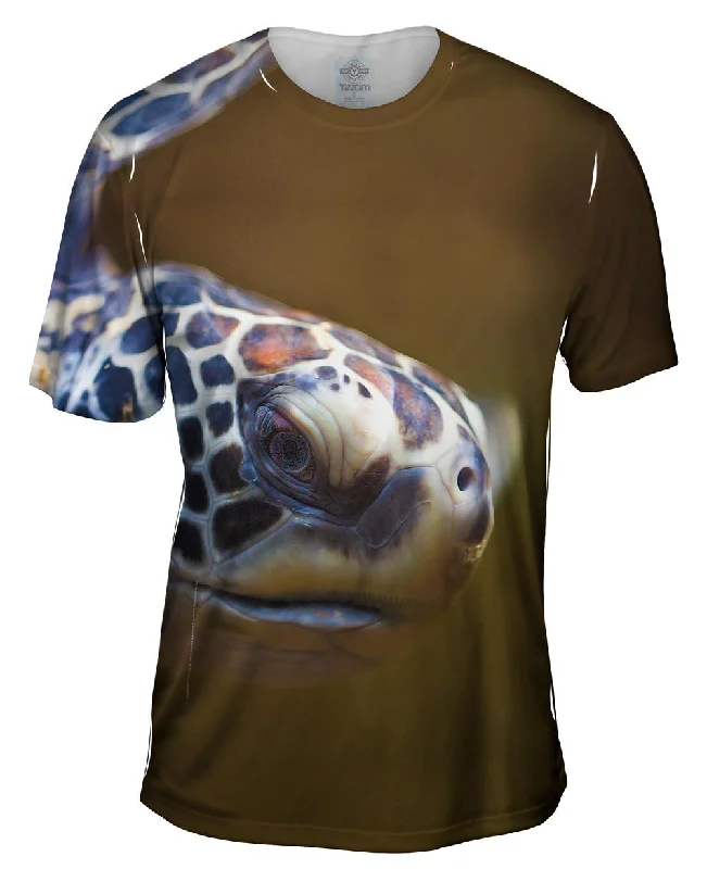 Aquarium Turtle