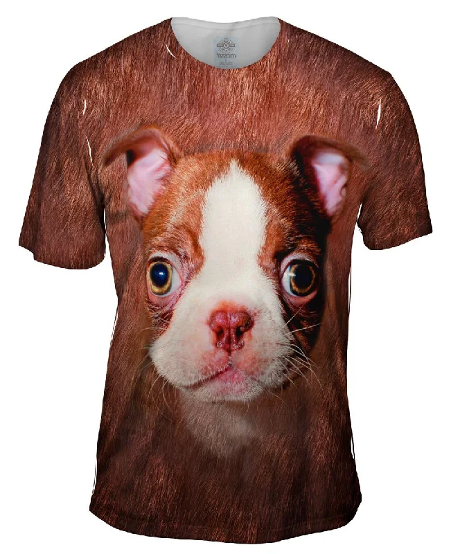 Boston Terrier Face