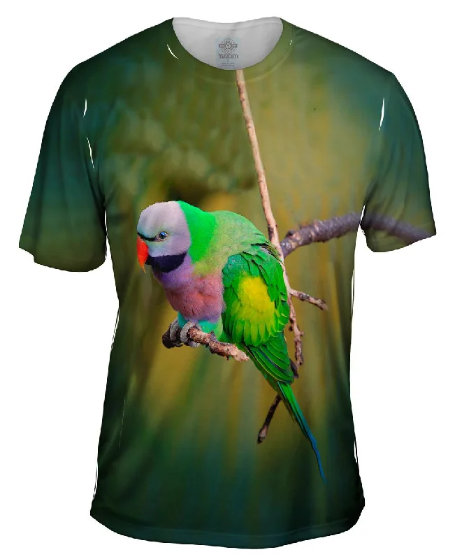 Colorful Derbyan Parakeet