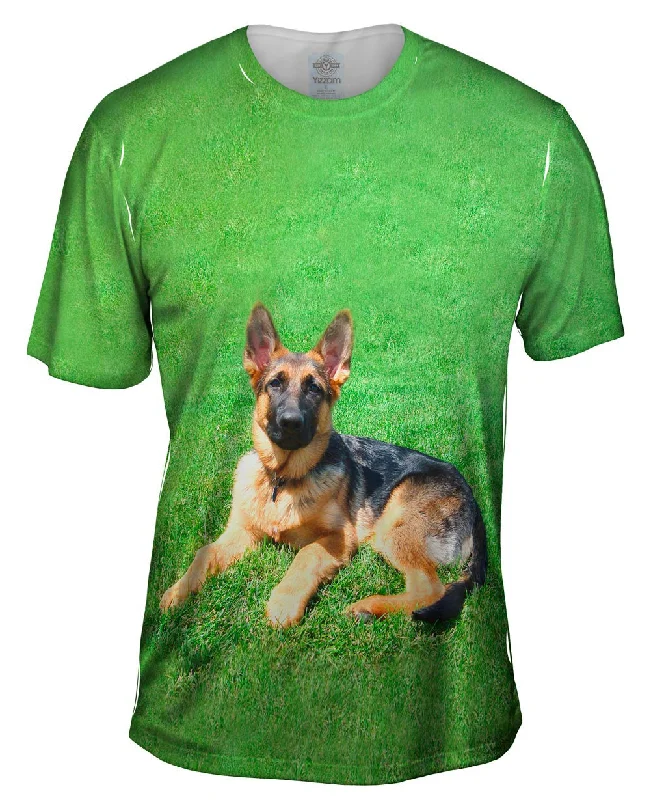 Weekend Offers That Tempt German Shepherd On Grass