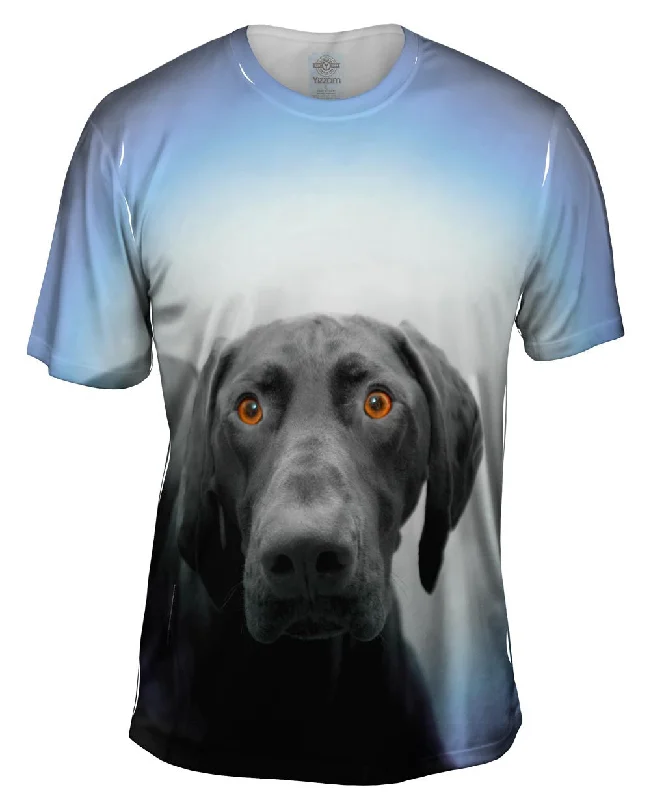 Weekend Savings Galore German Shorthaired Pointer Dog