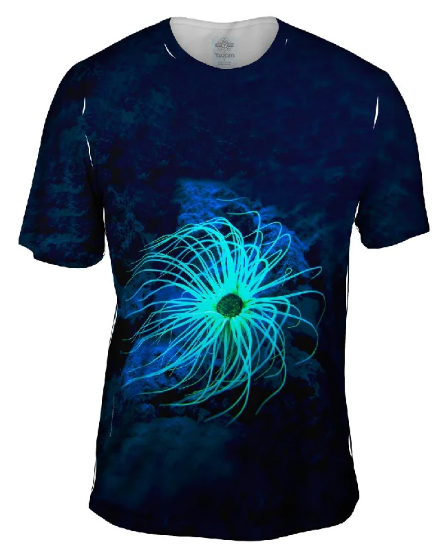 Weekend Deals to Make You Happy Glowing Underwater Coral Ceriantharia