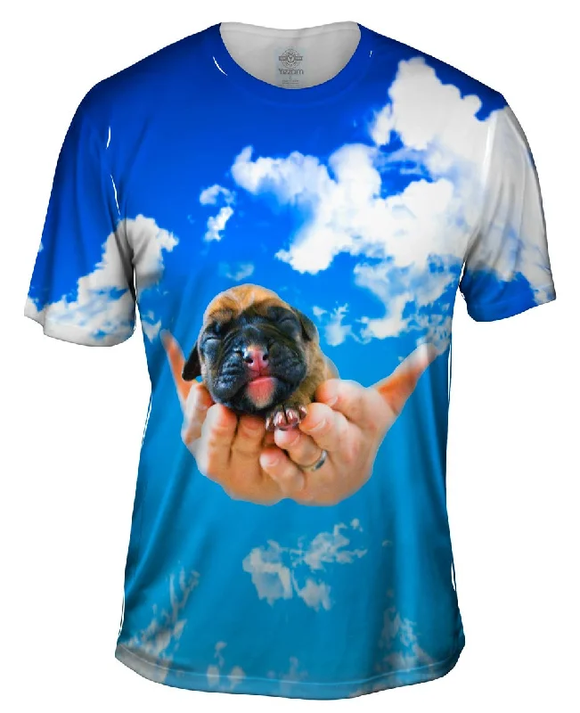 Half Price Heavens Hands Boxer Puppy