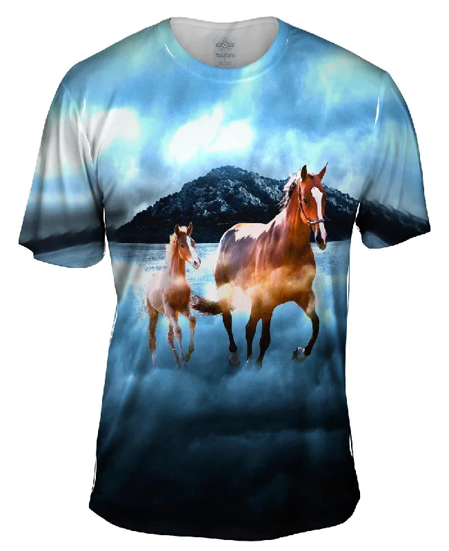 Act Fast Horse Clouds