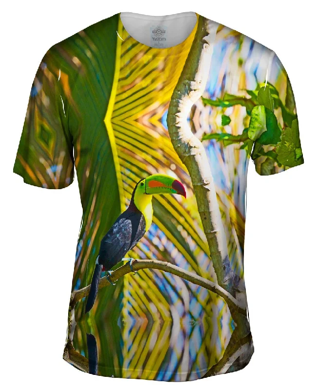 Big Discounts Keel Billed Tucan