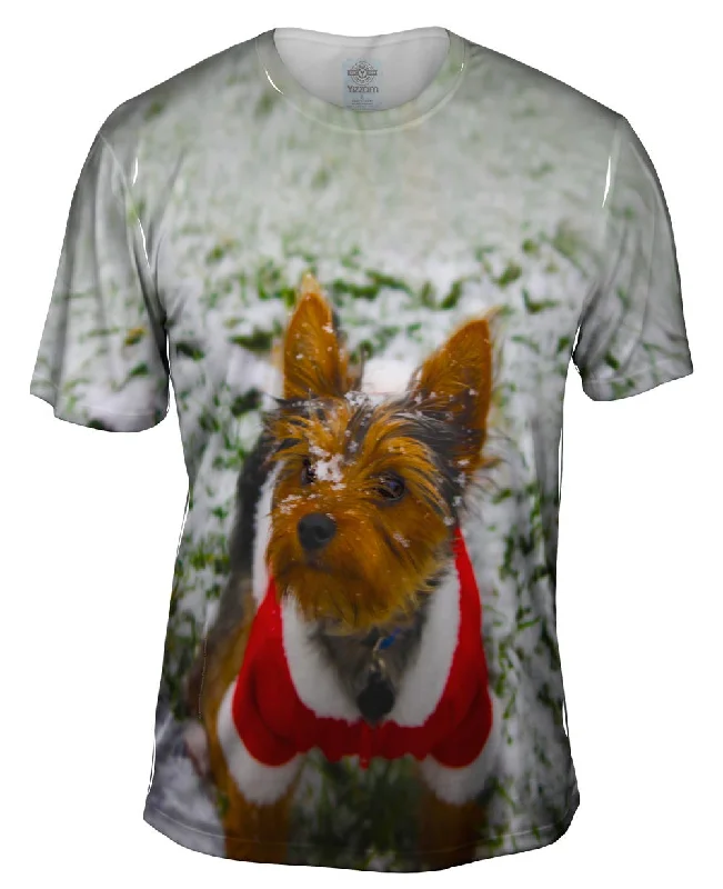 Weekend Discounts You Deserve Merry Christmas Yorkie