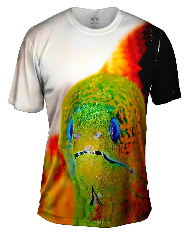 Year-End Clearance Moray Eel Peeks Underwater