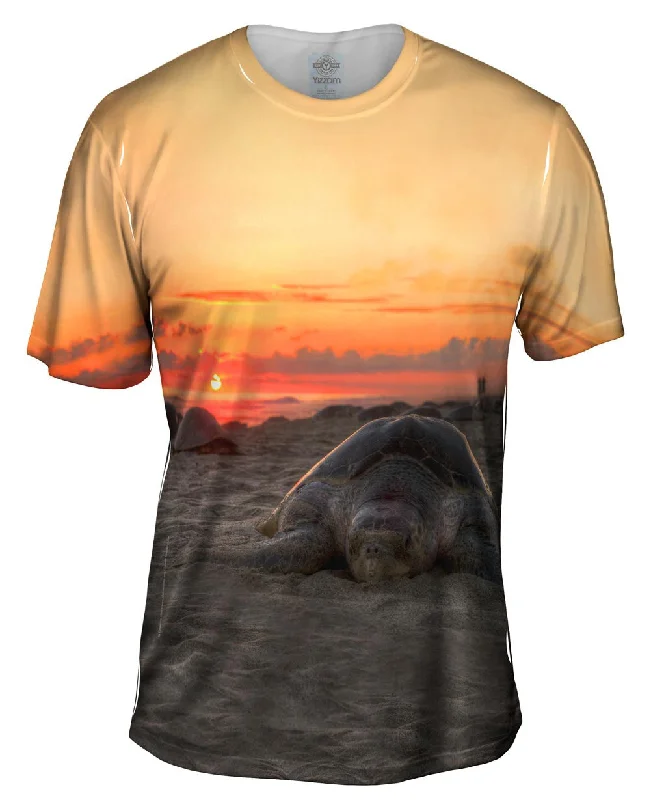Shop and Save Nesting Mexico Turtle Sunset