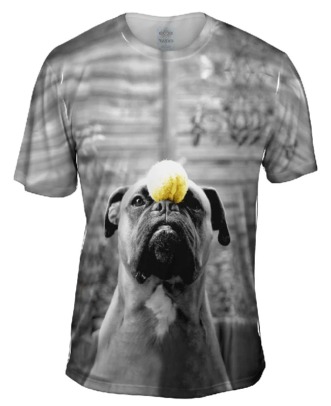 Weekend Bargains to Celebrate Obedient Boxer