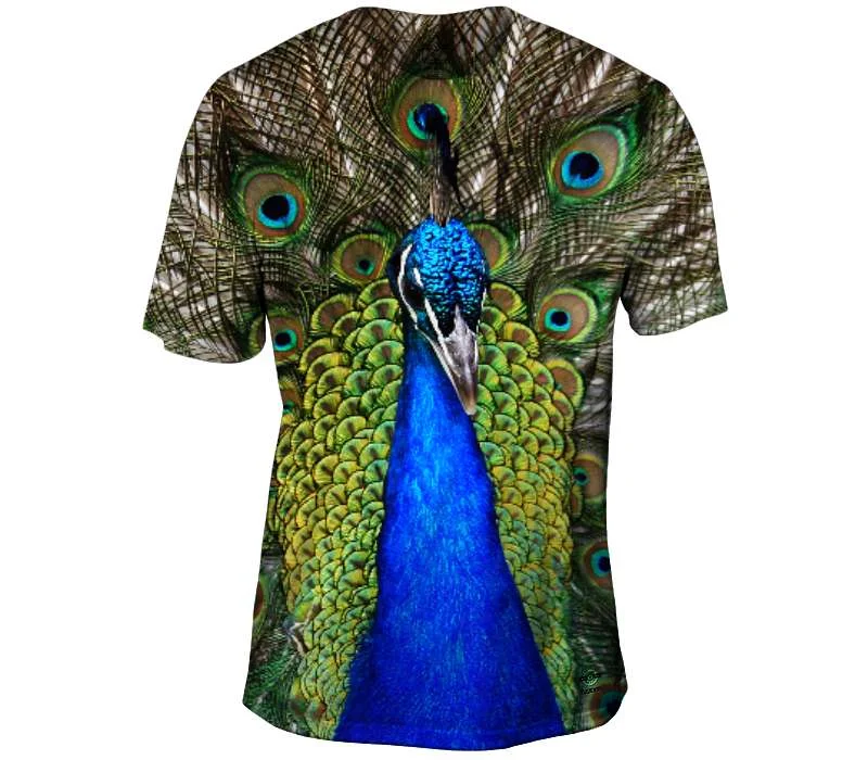 Peacock Showing Off