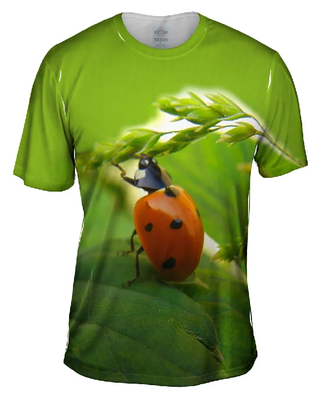 Now or Never Pull Ups Ladybug