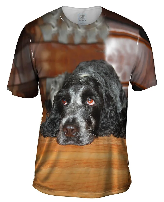 Instant Deal Quizzical Cocker Spaniel