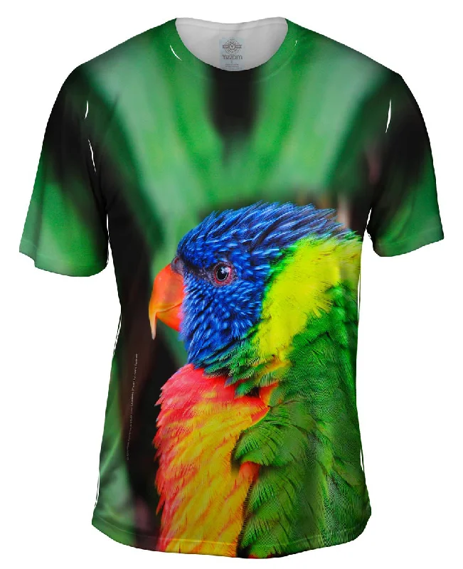 Flash Deal Rainbow Parrot