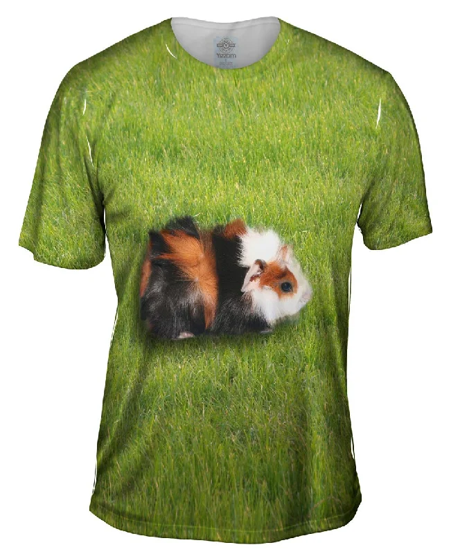 Deal of the Day Robust Guinea Pig