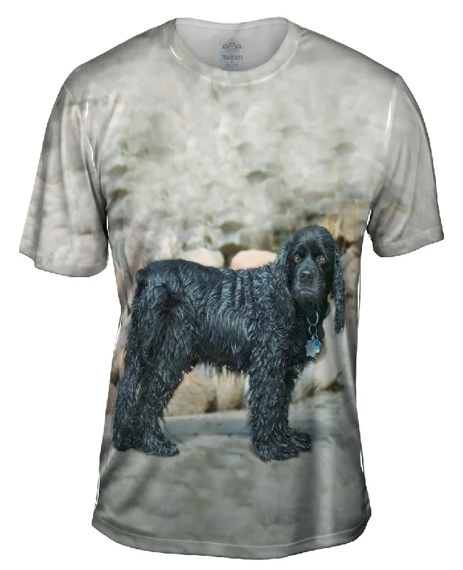 Weekend Special Sad Wet Cocker Spaniel