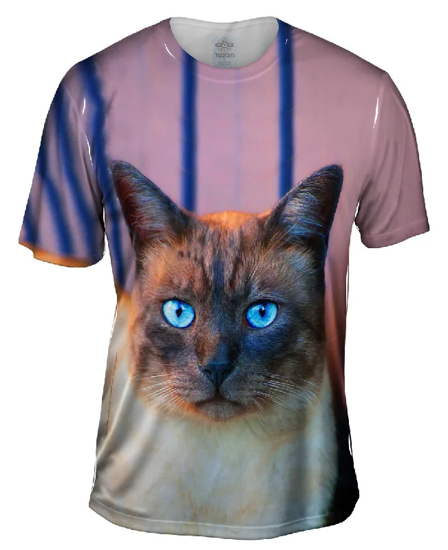 Super Savings Sapphire Eyes Cat