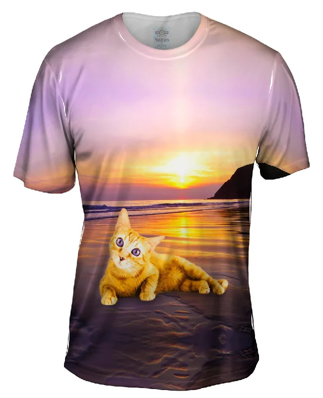 Don't Miss Out Smooth Sunset Kitty Cat
