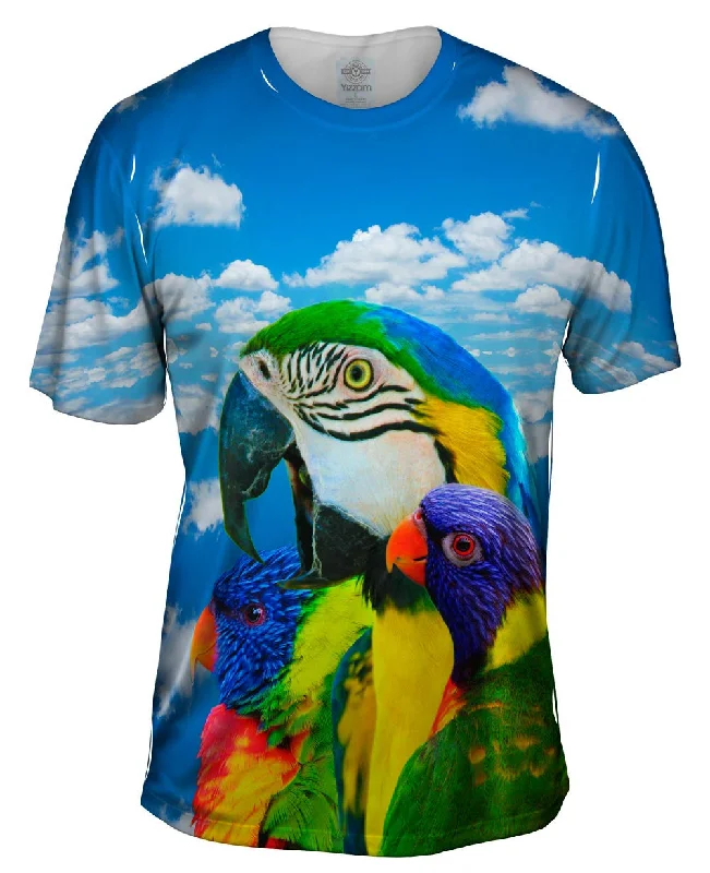 Crazy Savings Soaring Bird Collage
