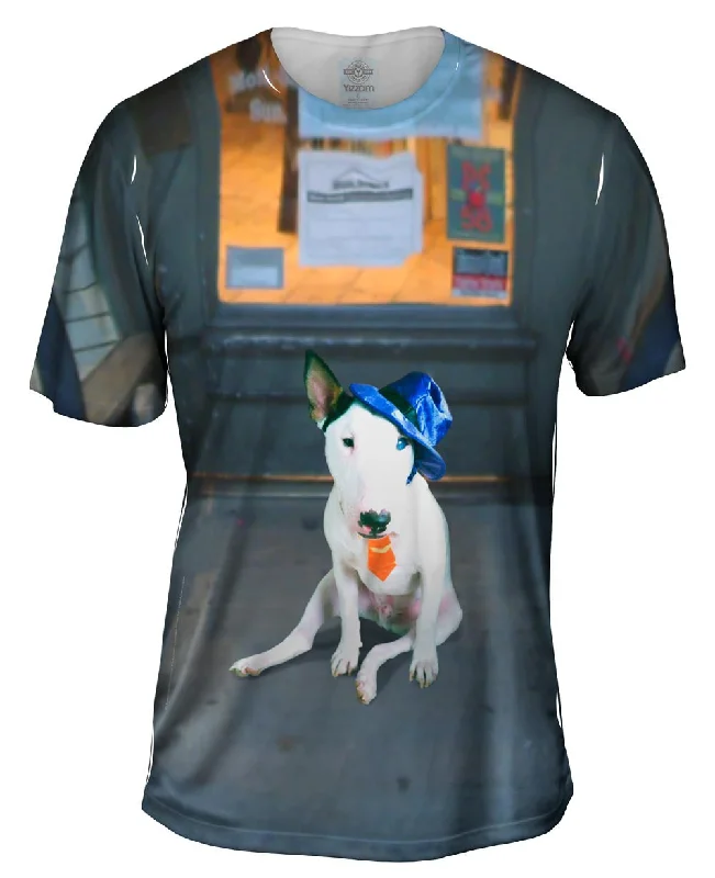 Don't Miss Storefront Bull Terrier