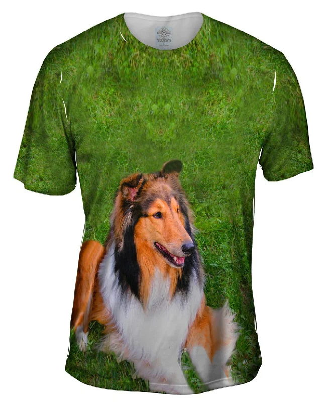 Steals and Deals Thirsty Collie