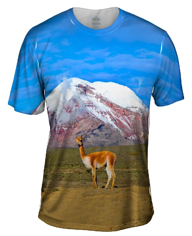 Bonus Savings Vicuna Chimborazo