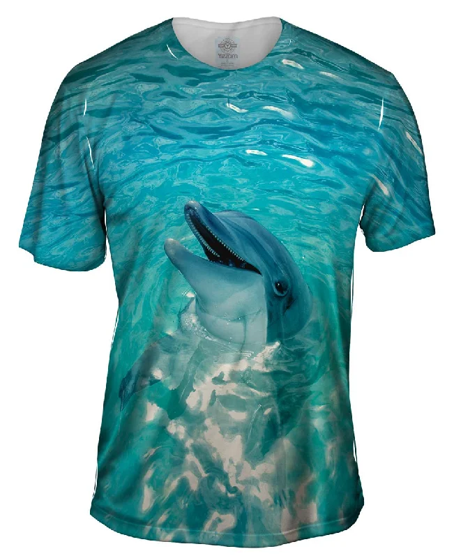 Deal Alert Vintage Dolphin