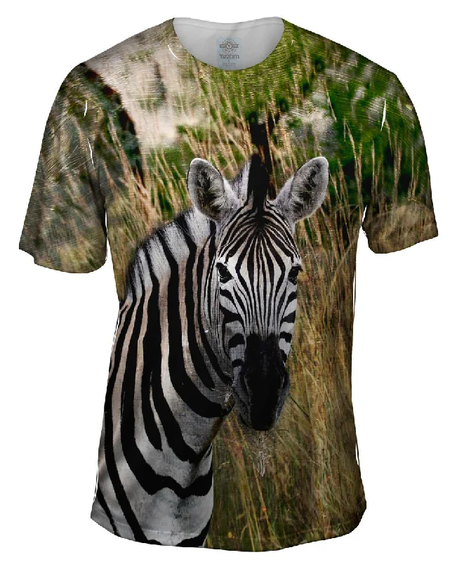 Savings Event Vintage Metal Zebra