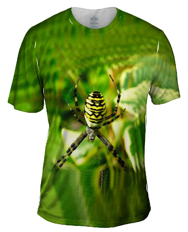 Bargain Bin Wasp Spider At Rest