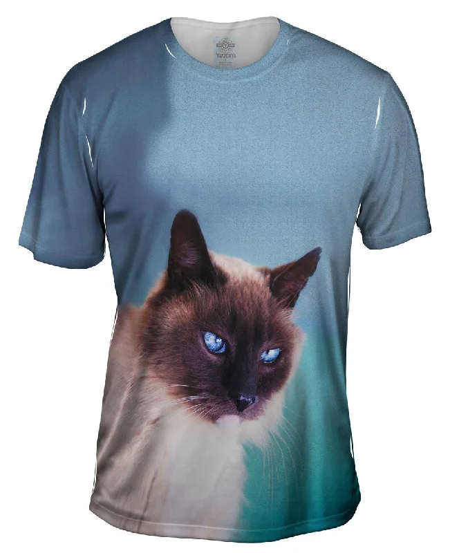 Overstock Sale Watchful Eyes Siamese Cat