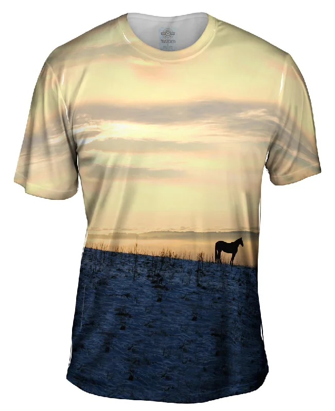 Limited Stock World Is Mine Horse