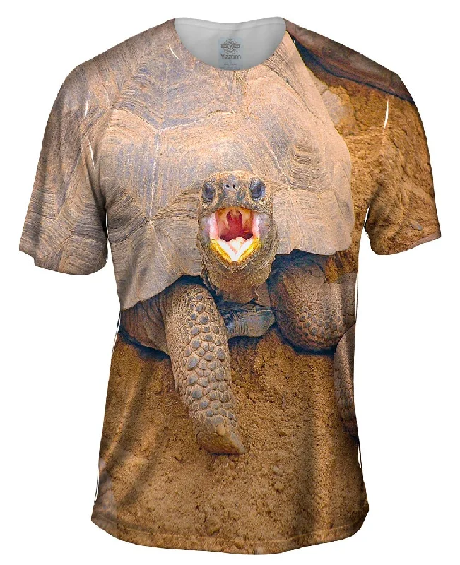 Exclusive Deal Wrong Side Of The Shell Baby Tortoise