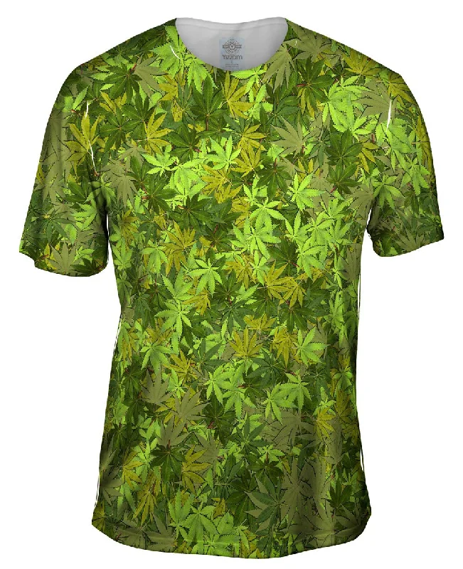 Weekend Deal Yellow Haze Legalize It