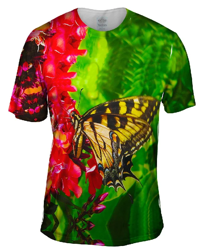 Stock Clearance Yellow Swallowtail Butterfly
