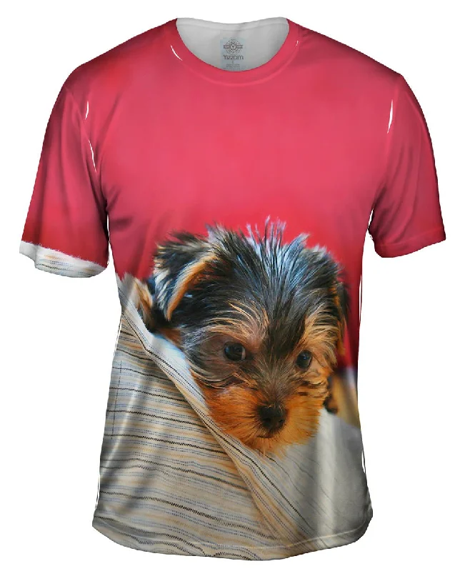 Online Only Yorkie On Bed