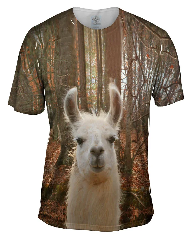 Massive Deal You Don_#_T Know Llama