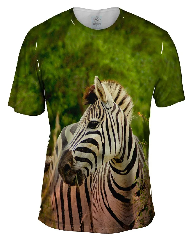 Buy Now Zebra Africa